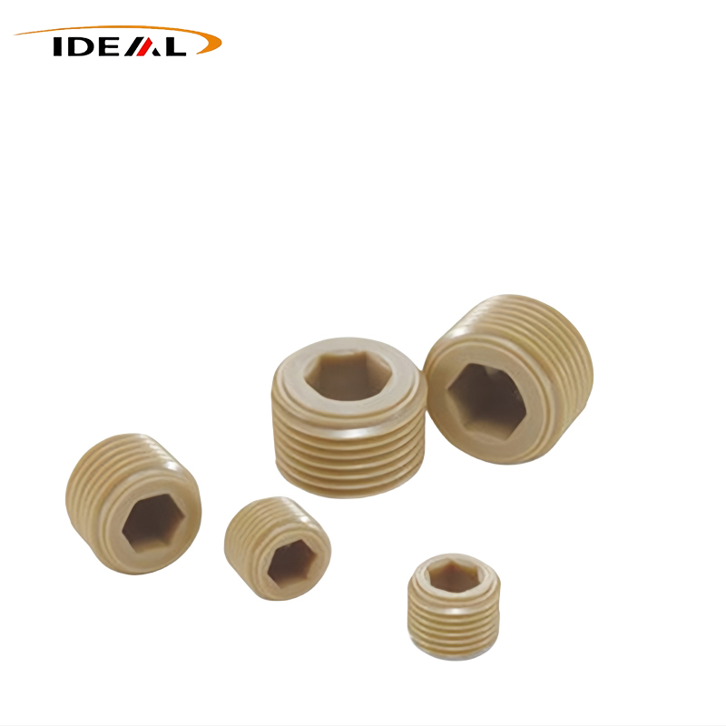 Βίδες κεφαλής κεφαλής PEEK Socket
